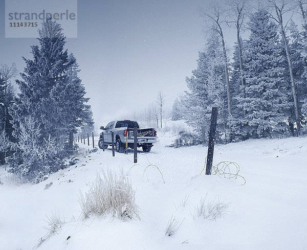 Lastwagen in verschneiter Landschaft