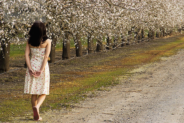 Teenager-Mädchen,  das einen mit Mandelblüten gesäumten Weg entlang geht