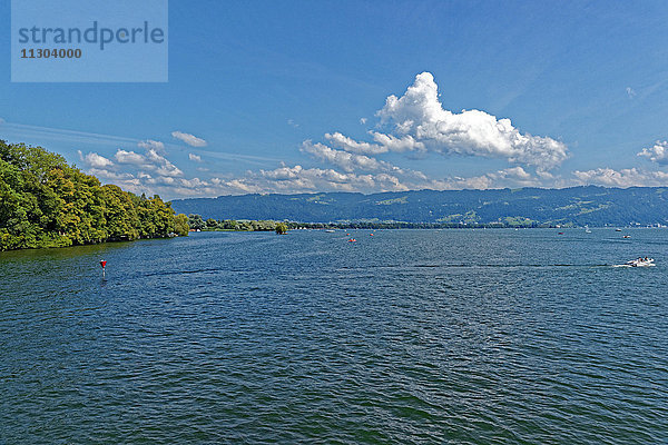 Bodensee,  Bodensee,  Uferlinie,  Seeblick