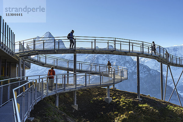 Gipfelweg und Aussichtsplattform mit dem Namen First Cliff Walk auf dem Gipfel des First oberhalb von Grindelwald,  Berner Oberland,  Schweiz. Auf der linken Seite der Berg Schreckhorn.