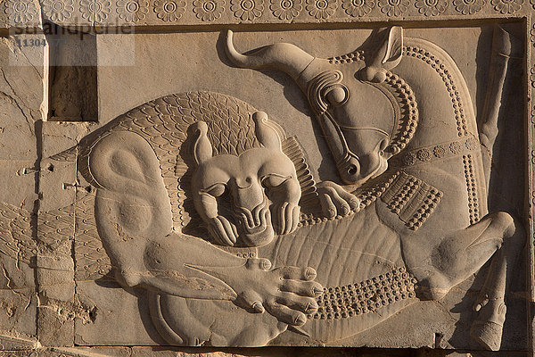 Iran,  Persepolis-Stadt,  Ruinen von Persepolis,  Relief an der Apadana-Treppe,  Apadana-Palast