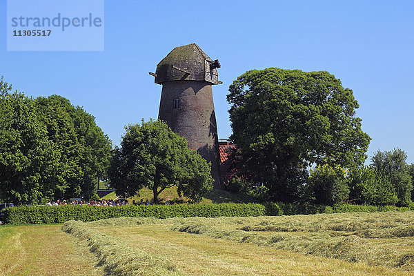 Turmwindmühle in Rhede-Krommert,  Münsterland,  Nordrhein-Westfalen