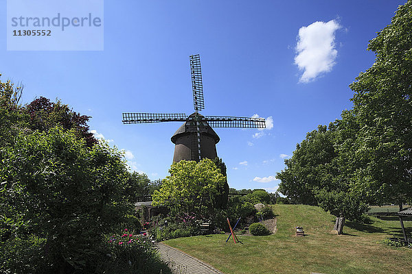 Windmühle in Geldern-Vernum,  Niederrhein,  Nordrhein-Westfalen