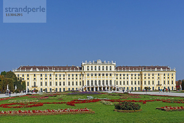 Schloss,  Schönbrunn,  Park