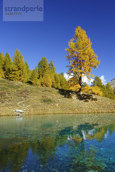 Lac Bleu,  Dent de Perroc,  Wallis,  Schweiz
