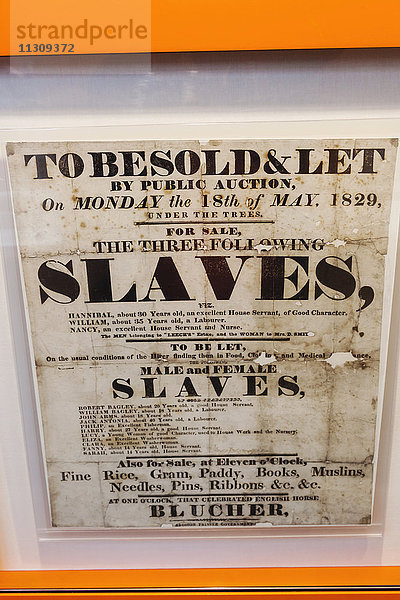 England,  East Yorkshire,  Kingston upon Hull,  William Willberforce Museum,  Original Werbeplakat für den Verkauf von Sklaven von 1829