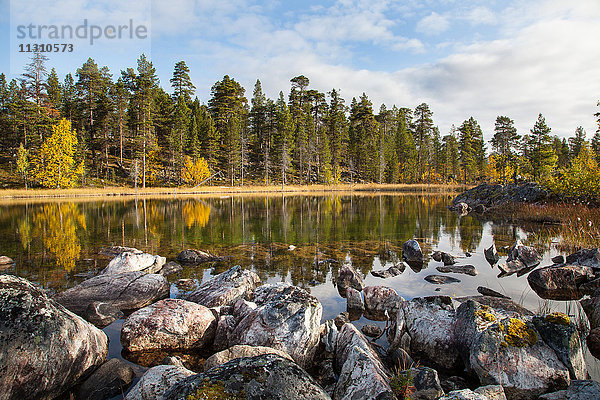 Bäume,  Europa,  Finnland,  Herbst,  Herbstfarben,  Landschaft,  Landschaft,  Lappland,  See,  Skandinavien,  Reflexion,  Holz,  Wald,  Wasser