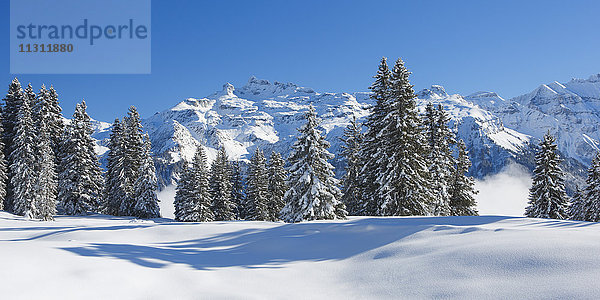 Freiberge,  Kärpf,  Glarner Alpen,  Schweiz