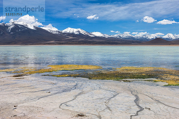 Laguna Blanca,  Bolivien,  Altiplano