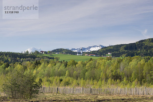 Das Ulrichshögl mit schneebedecktem Lattengebirge