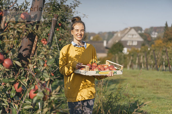 Junge Frau hält Kiste mit Äpfeln im Obstgarten