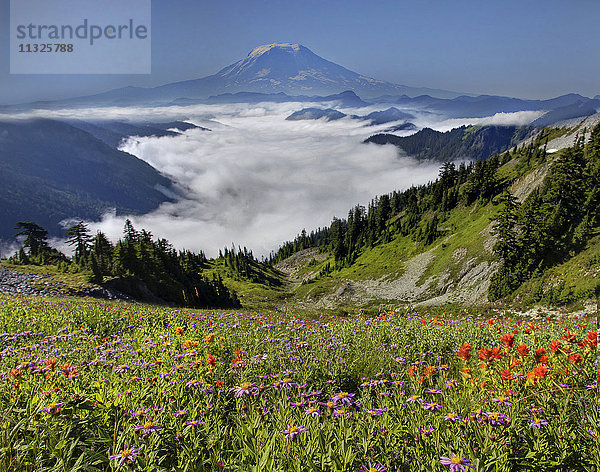 Mount Rainier National Park im Bundesstaat Washington