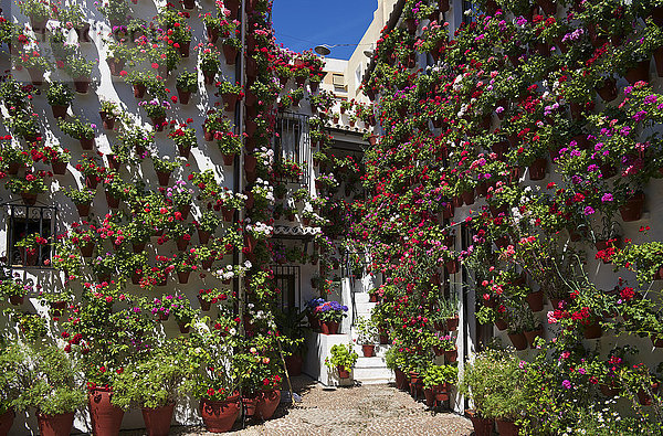 Blumenschmuck in Cordoba,  Andalusien