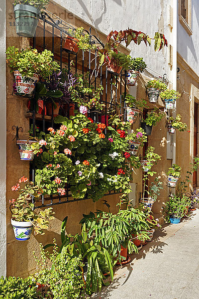 Gasse mit Blumenschmuck in Xabia,  Alicante