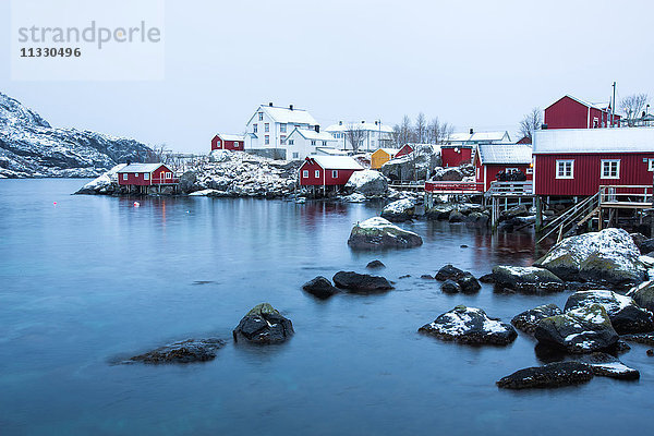 Rorbur im Winter auf den Lofoten,  Norwegen