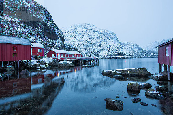 Rorbur im Winter auf den Lofoten,  Norwegen
