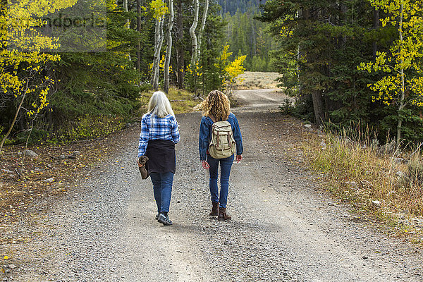 Kaukasische Frauen gehen auf einem Waldweg