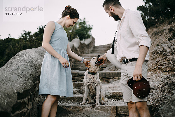Kaukasisches Paar spielt mit Hund auf Steintreppe