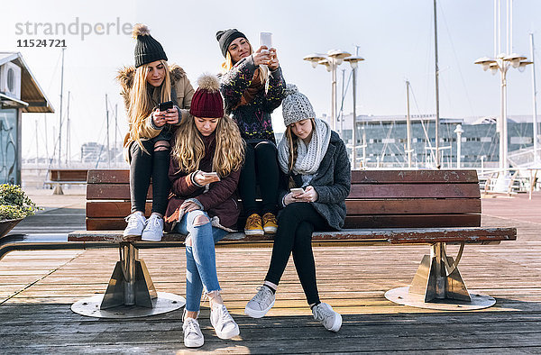 Vier junge Frauen sitzen auf einer Bank und benutzen ihr Handy.