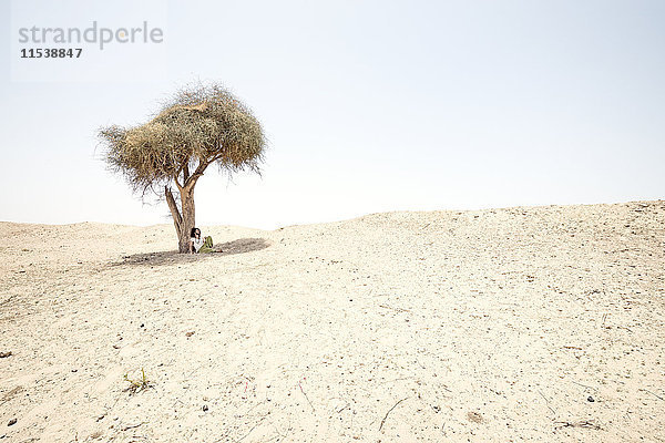 Mann sitzt allein unter einem Baum in der Wüste.
