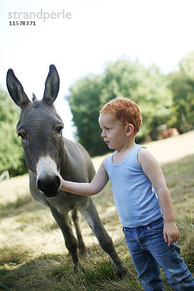 Rothaariger kleiner Junge auf einem Feld,  der auf einen Esel schaut,  während er ihn streichelt.