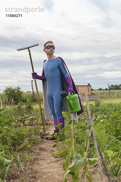 Reifer Mann im Superheldenkostüm mit Rechen und Gießkanne im Gemüsegarten.