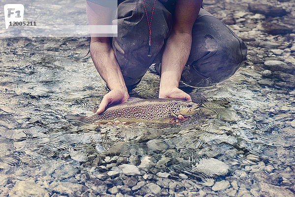 Slowenien,  Mann Fliegenfischen in Soca Fluss fangen einen Fisch