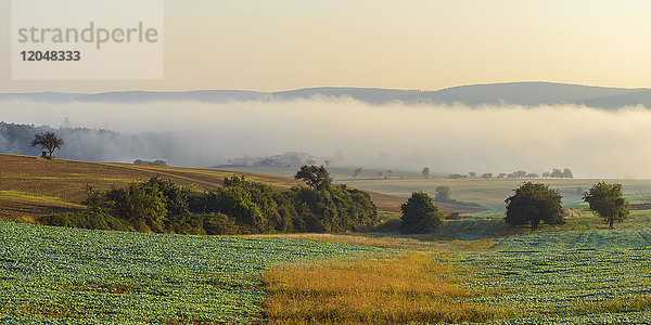 Landschaft mit Morgennebel über den Feldern in Großheubach mit den Hügeln des Spessarts im Hintergrund in Bayern,  Deutschland