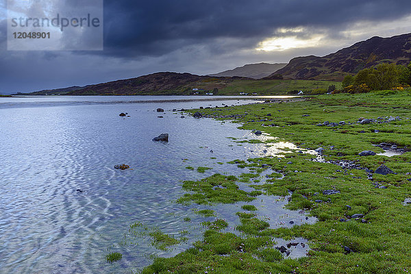 Grasbewachsenes Ufer bei Sonnenaufgang an der schottischen Küste in der Nähe von Eilean Donan Castle und Kyle of Lochalsh in Schottland,  Vereinigtes Königreich