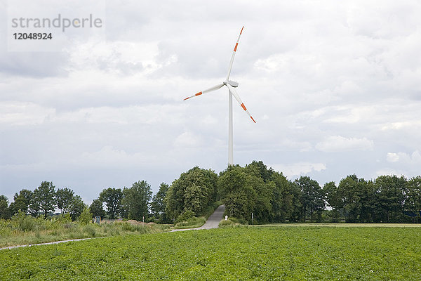 Windmühle bei Feld