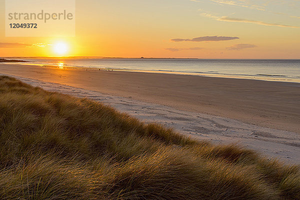 Die Sonne spiegelt sich auf dem Dünengras und dem Strand bei Sonnenaufgang über der Nordsee,  Bamburgh in Northumberland,  England,  Vereinigtes Königreich