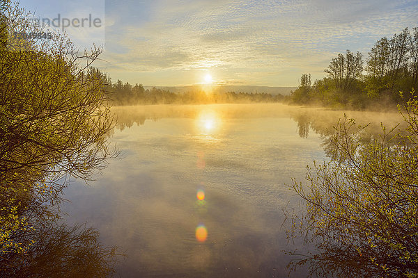 Helle Sonne spiegelt sich im See mit Morgennebel bei Sonnenaufgang in Mondfeld,  Wertheim in Baden-Württemberg,  Deutschland