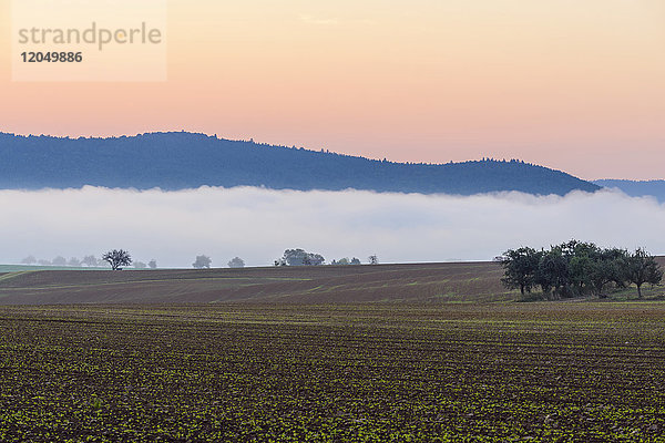 Landschaft mit Morgennebel in der Morgendämmerung über Feldern in Großheubach in Bayern,  Deutschland