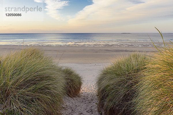 Pfad durch Sanddünen zur Nordsee bei Sonnenaufgang in Bamburgh in Northumberland,  England,  Vereinigtes Königreich