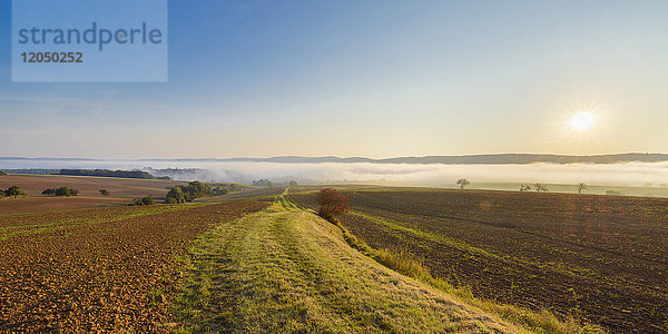 Landschaft mit Weg und Morgennebel über den Feldern bei Sonnenaufgang in der Gemeinde Großheubach in Bayern,  Deutschland