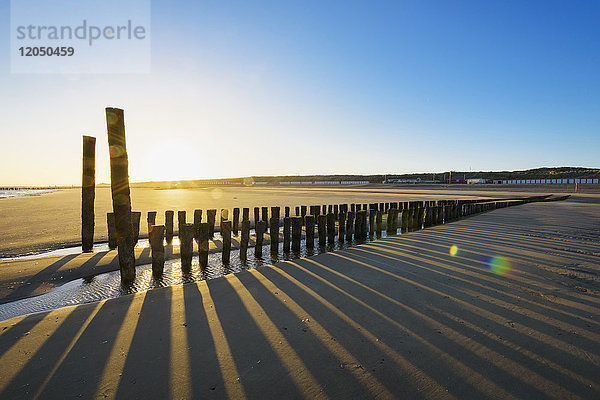 Hölzerner Wellenbrecher am Strand bei Ebbe und Sonnenaufgang,  Domburg,  Nordsee,  Zeeland,  Niederlande