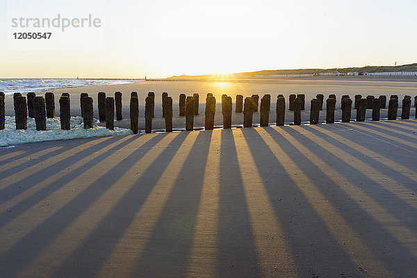 Hölzerner Wellenbrecher am Sandstrand bei Ebbe und Sonnenaufgang,  Domburg,  Nordsee,  Zeeland,  Niederlande