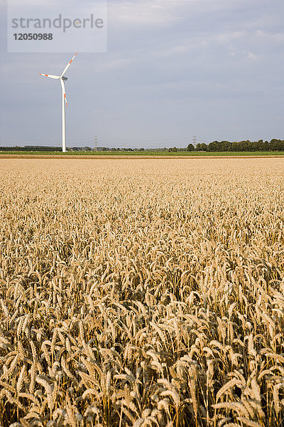 Windturbine im Feld
