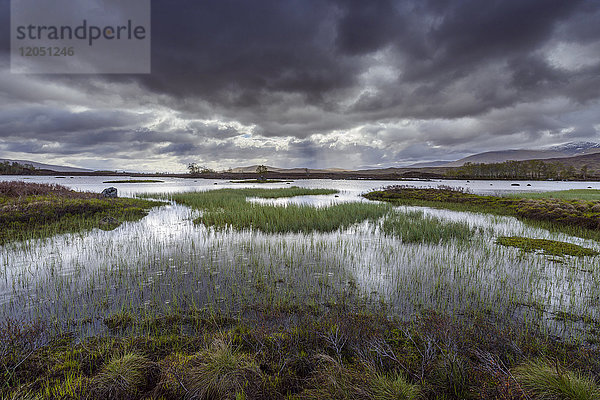 Moorlandschaft mit See und grasbewachsenen Flächen und dunklen Gewitterwolken im Rannoch Moor in Schottland,  Vereinigtes Königreich
