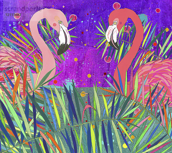 Zwei Flamingos schauen sich in bunten Blättern an
