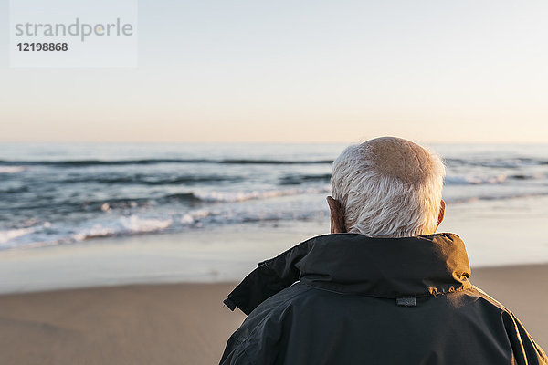 Senior Mann mit Blick aufs Meer,  Rückansicht