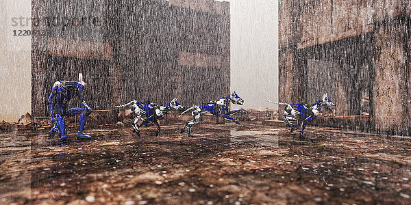 Roboterhunde laufen im Regen