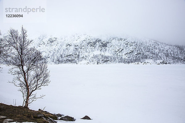 Ruhige,  verschneite Landschaft,  Kanstad,  Hinnoya,  Norwegen