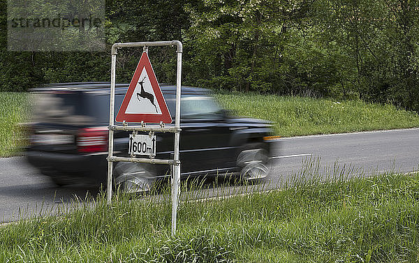 Austria,  Burgenland,  car and traffic sign deer crossing sign