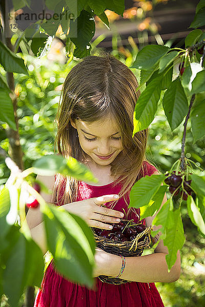Portrait of little girl with basket full of cherries