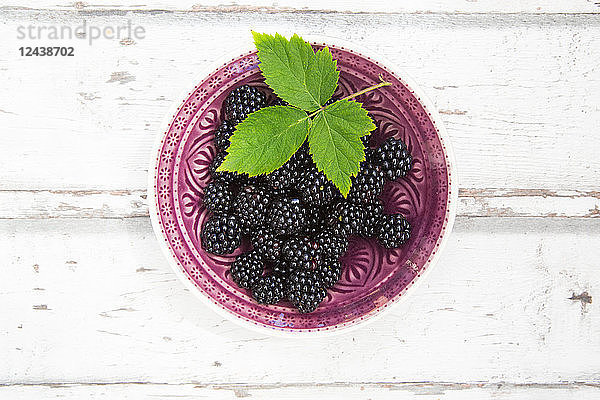 Bowl of organic blackberries on wood