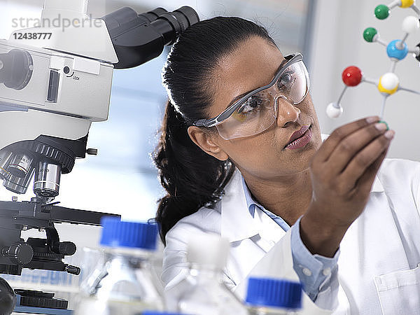 Biotechnology Research,  female scientist examining a chemical formula using a ball and stick molecular model in the laboratory