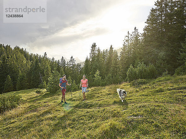 Austria,  Tyrol,  Mieming,  couple with dog hiking in alpine scenery