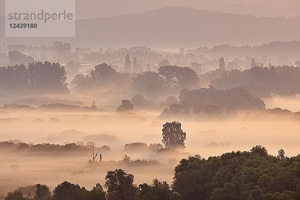 Germany,  Baden-Wuerttemberg,  Constance district,  view to Radolfzeller Aach in the morning with fog