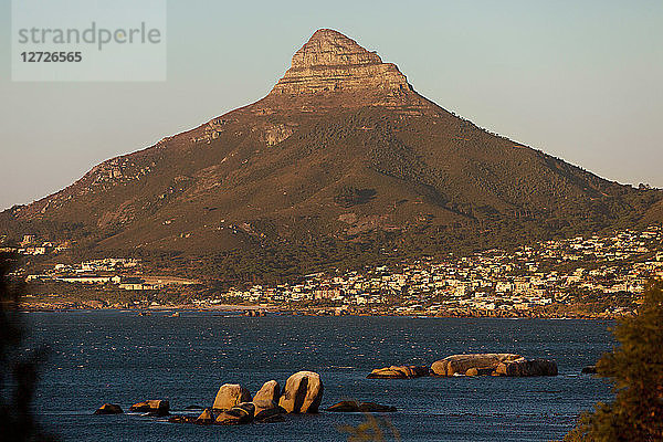 Süd-Afrika. Provinz Westkap. Der Lion's Head ist ein felsiger Gipfel,  der die Stadt Kapstadt überragt. Diese 669 Meter hohe geologische Formation verdankt ihren Namen ihrer charakteristischen Form,  die bei den frühen holländischen Siedlern an einen Löwenkopf erinnerte.